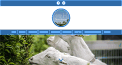 Desktop Screenshot of dierenhoeve.nl